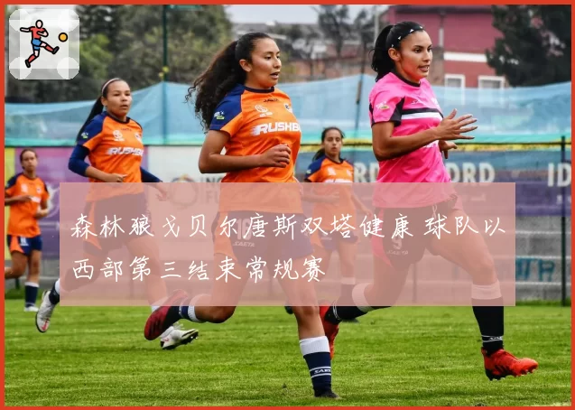 森林狼戈贝尔唐斯双塔健康 球队以西部第三结束常规赛
